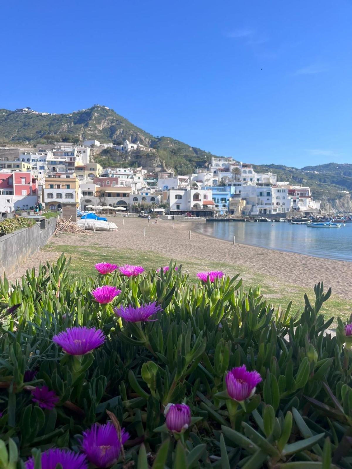 Casetta Sant'angiolese * Ischia